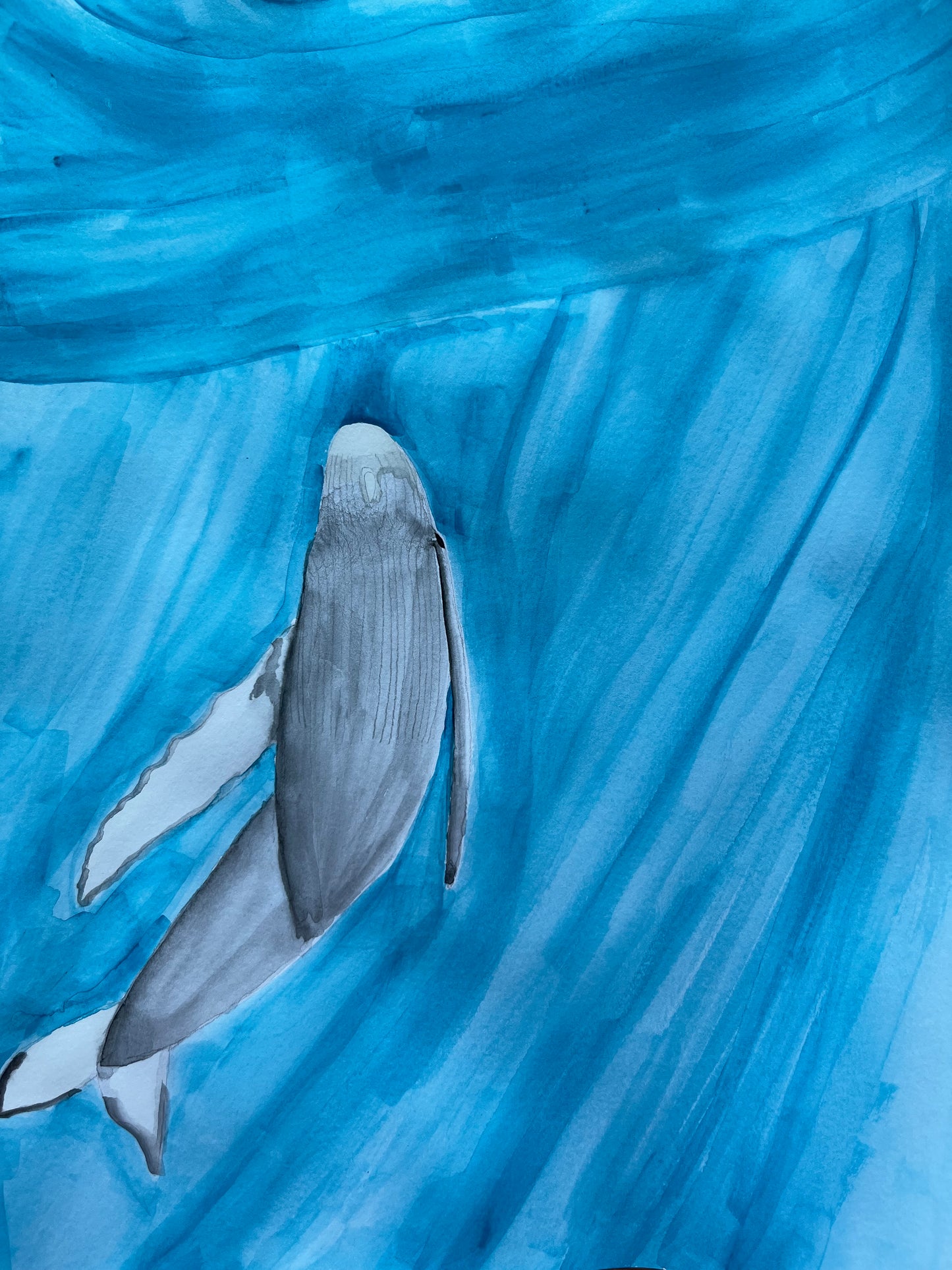 Whale