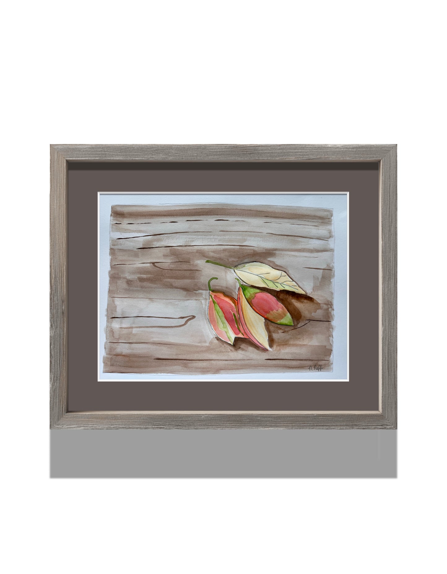 Leaves