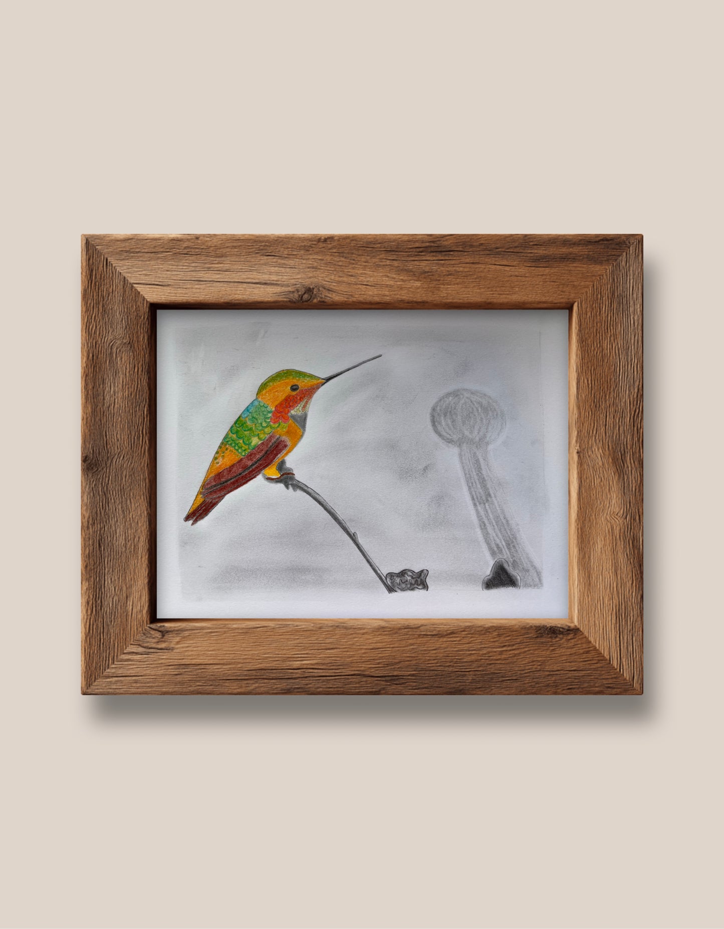 Hummingbird