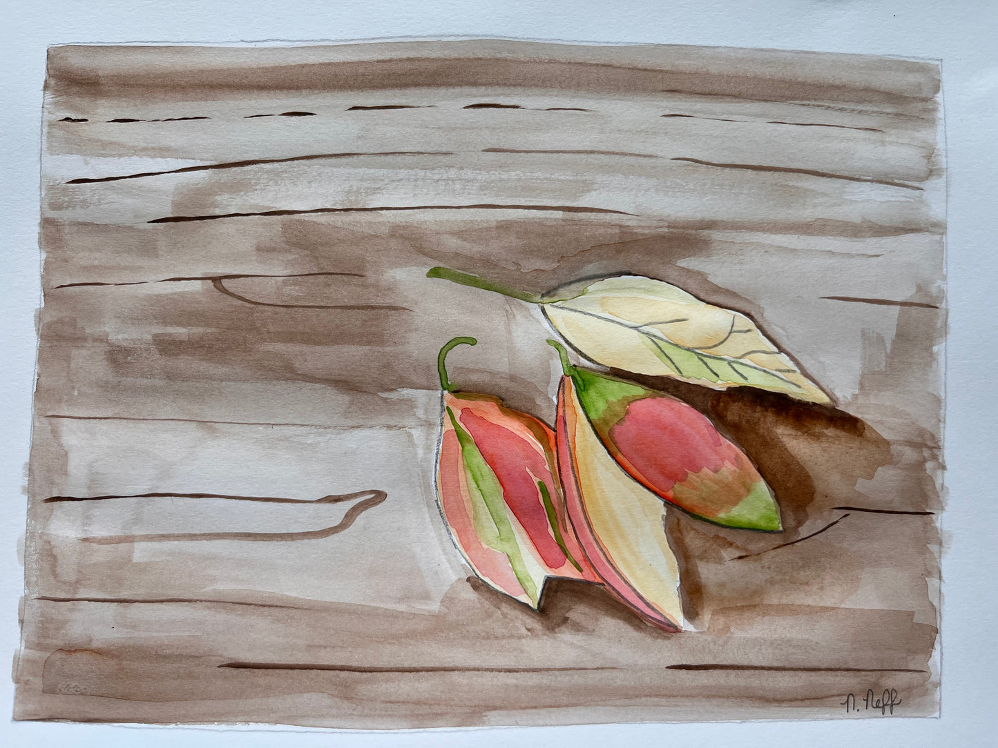 Leaves
