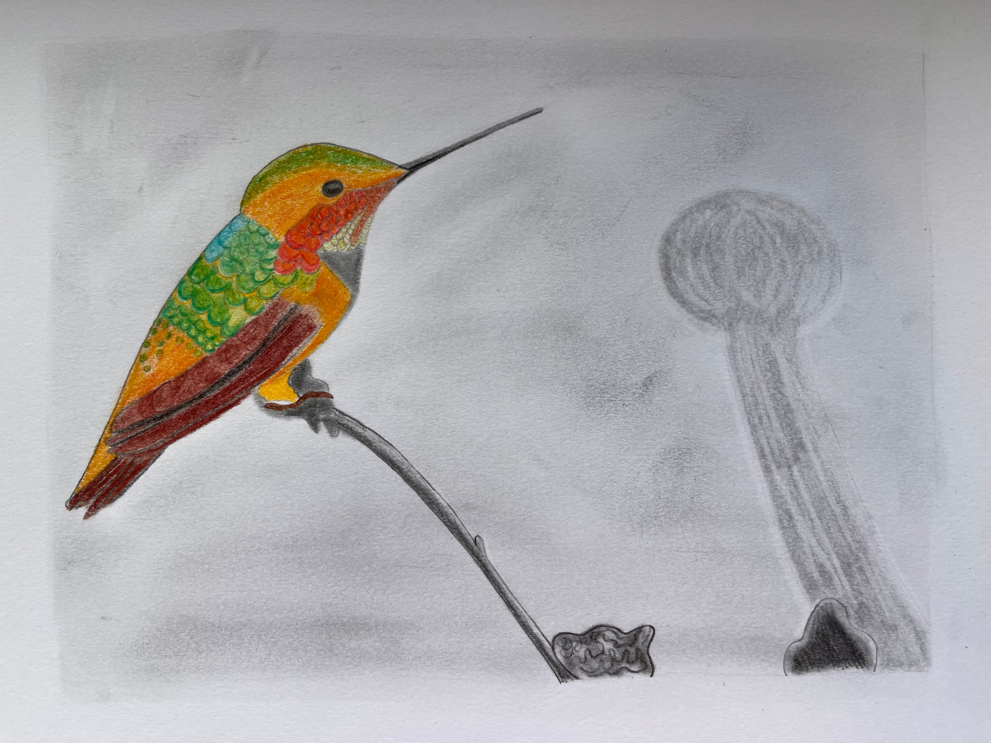 Hummingbird